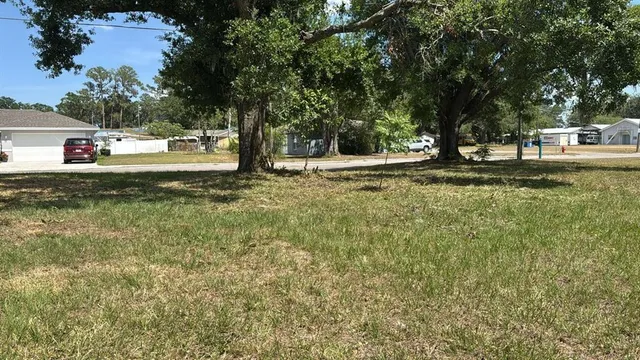 a view of a tree in the middle of a yard