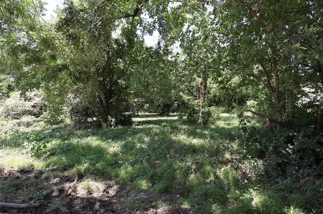 a view of a green field with lots of bushes