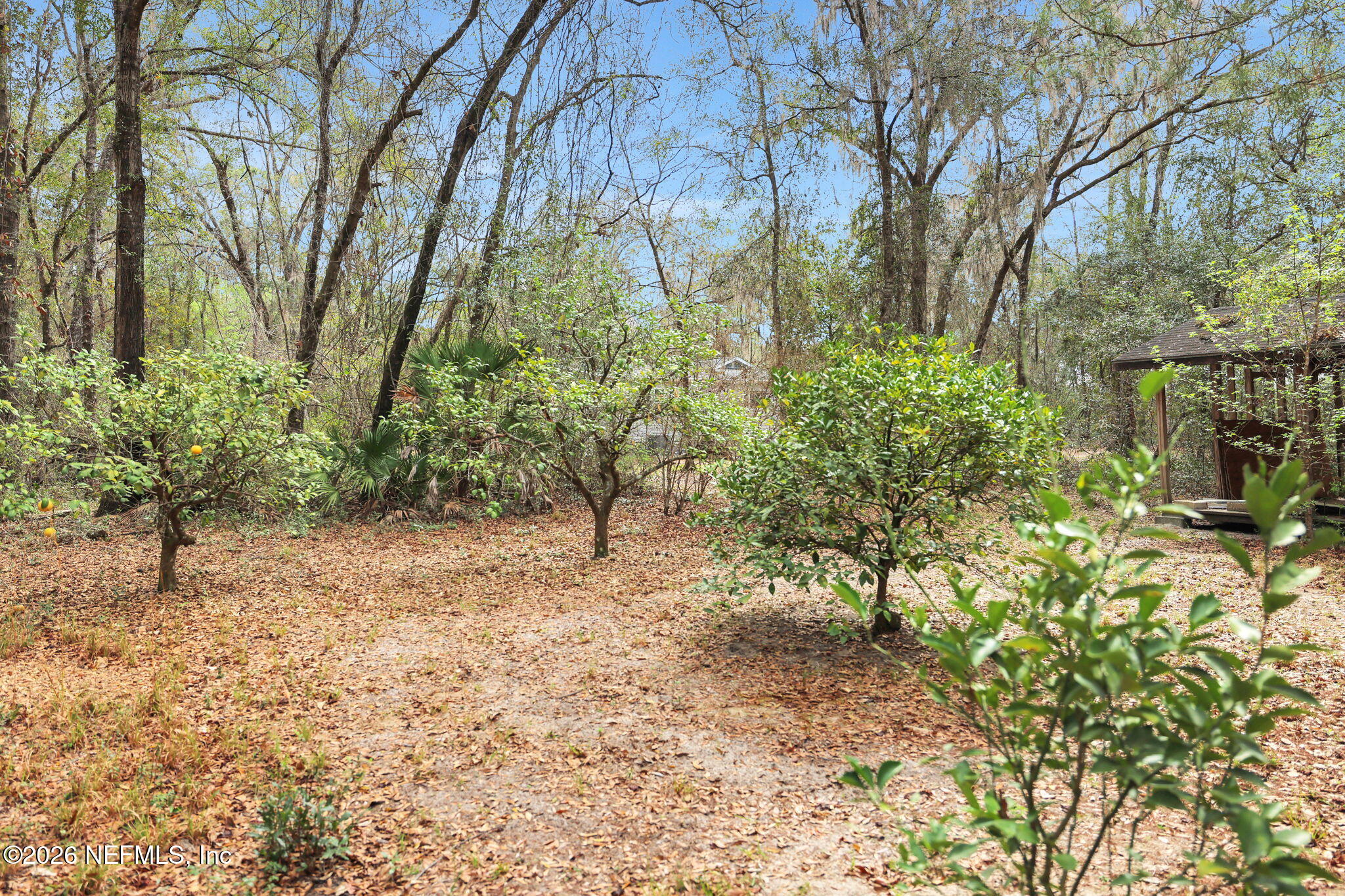 871 Landreth Road Green Cove Springs, FL 32043 - Photo 49 of 54 41-web-or-mls-036A2039
