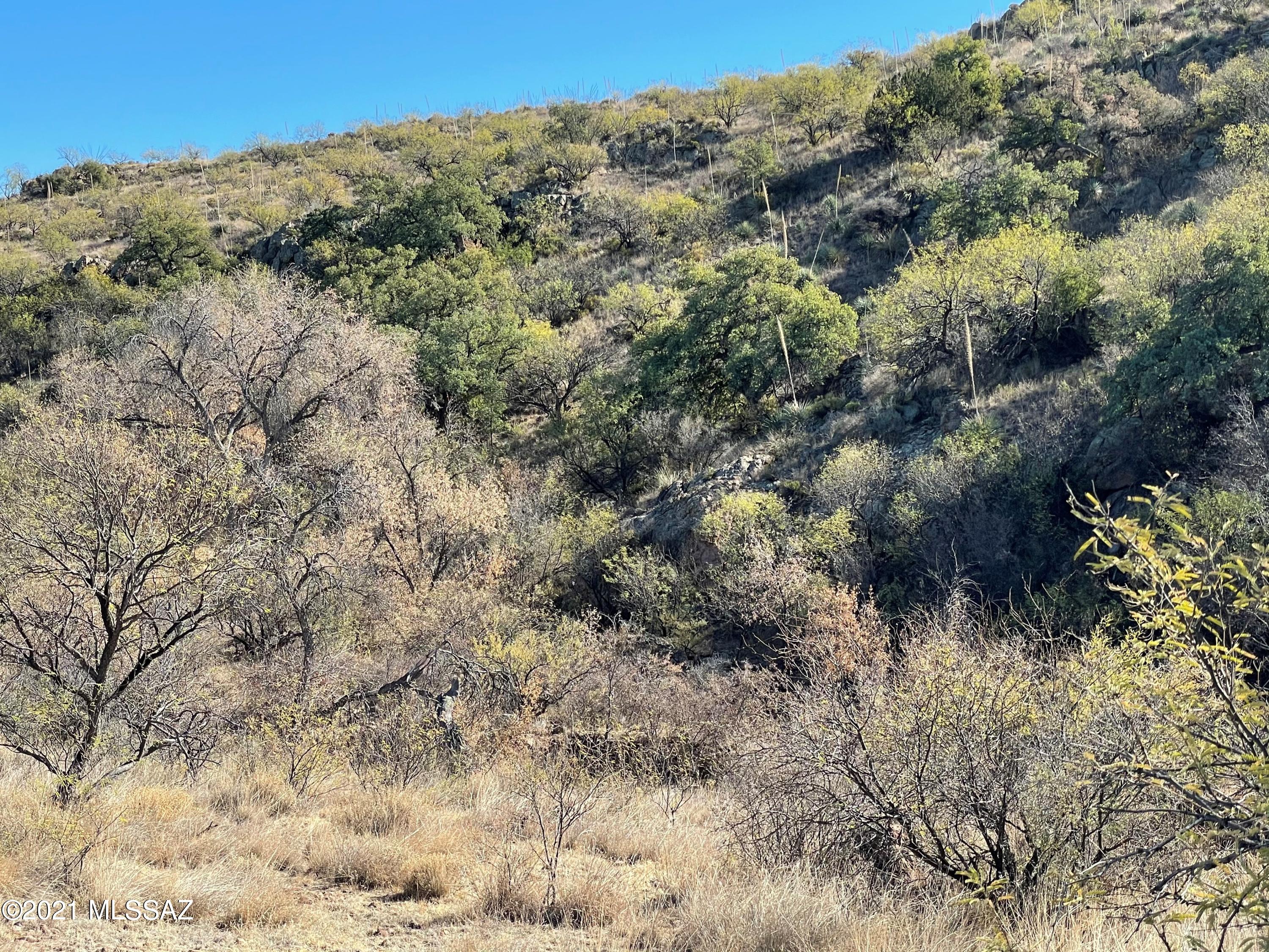 Tbd Morning Star Drive, Unit 62 Rio Rico, AZ 85648 - Photo 1 of 23