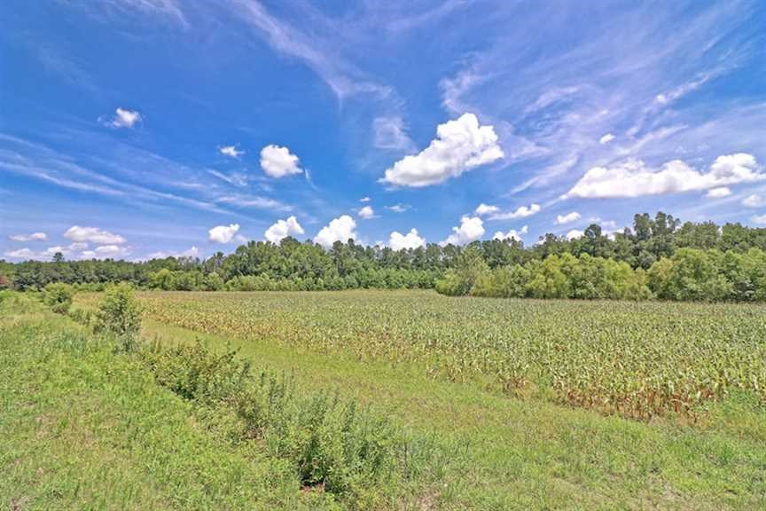 0 Coast Line Road Salters, SC 29590 - Photo 27 of 37