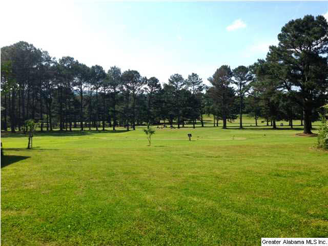 187 Scarbrough Lane Anniston, AL 36207 - Photo 29 of 32