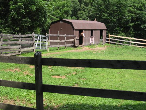 a view of a garden with a house in the background
