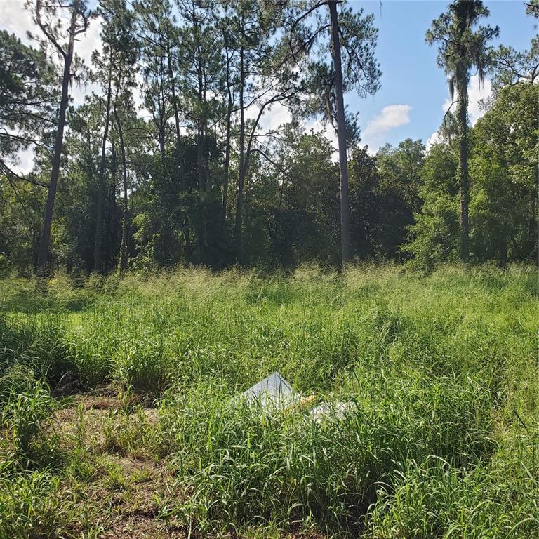 Pollard Road Winter Haven, FL 33884 - Photo 17 of 17 a view of outdoor space and a yard