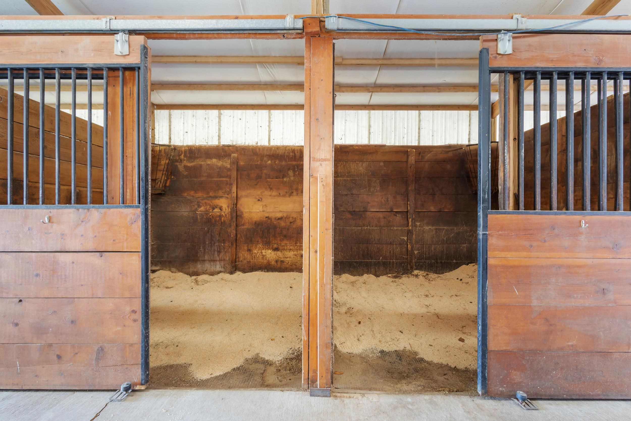 N4742 Thompson Road Shiocton, WI 54170 - Photo 39 of 55