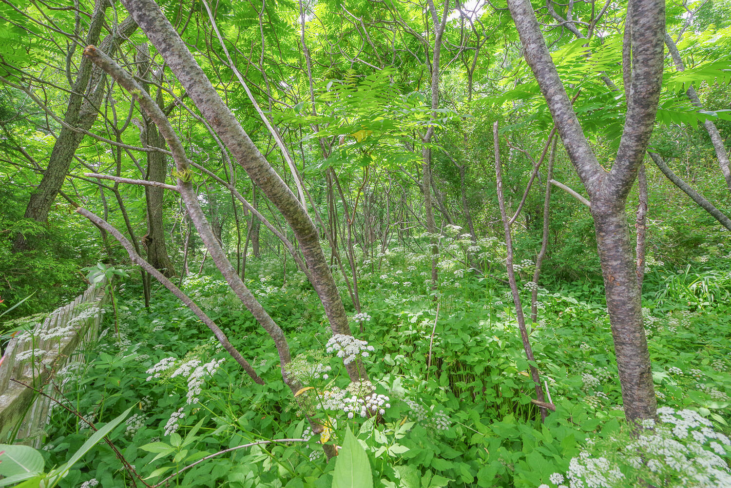 69 West Meadow Road Rockland, ME 04841 - Photo 39 of 42 69 West Meadow Rd 36-(ZF-9481-88259-1-03