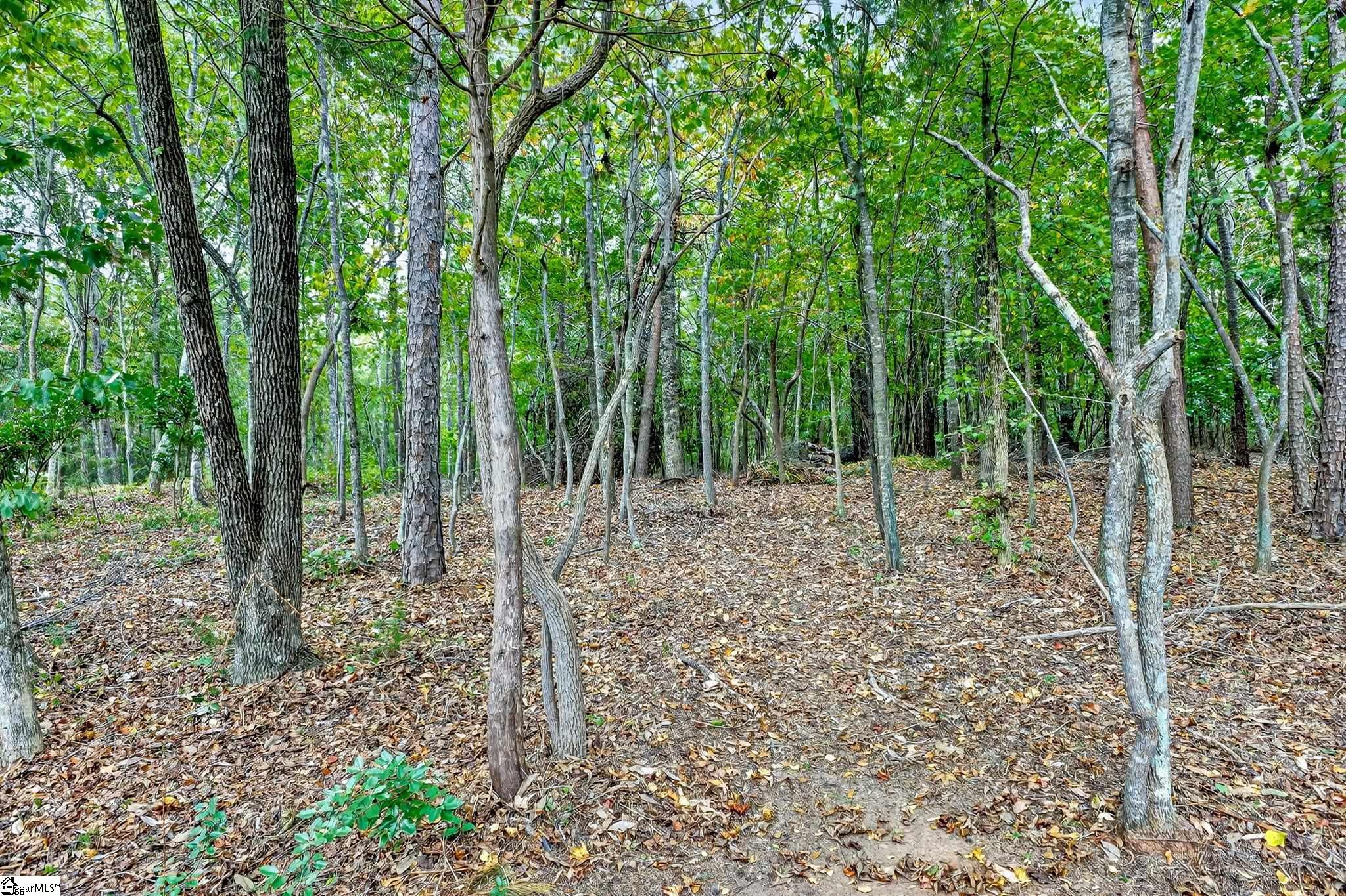 907 Sugar Oak Court Simpsonville, SC 29680 - Photo 47 of 50