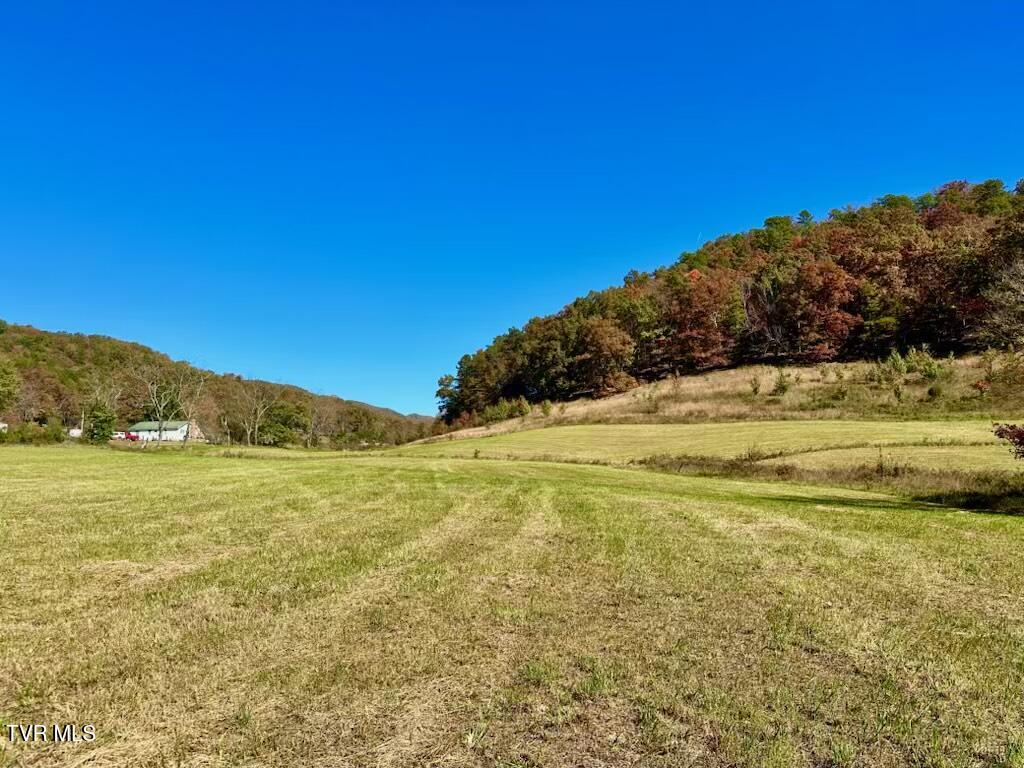 Tbd New Life Road Rogersville, TN 37857 - Photo 3 of 21 New Life
