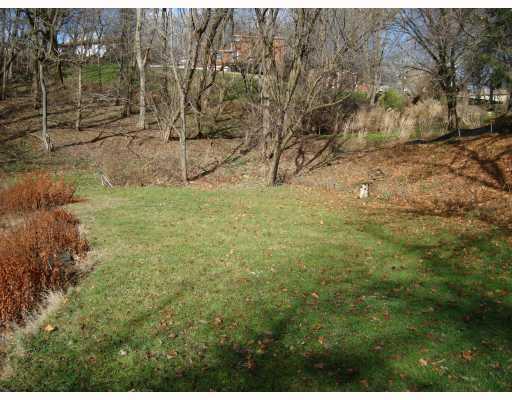 983 Broughton Road Pittsburgh, PA 15236 - Photo 10 of 10 Yard/Garden.