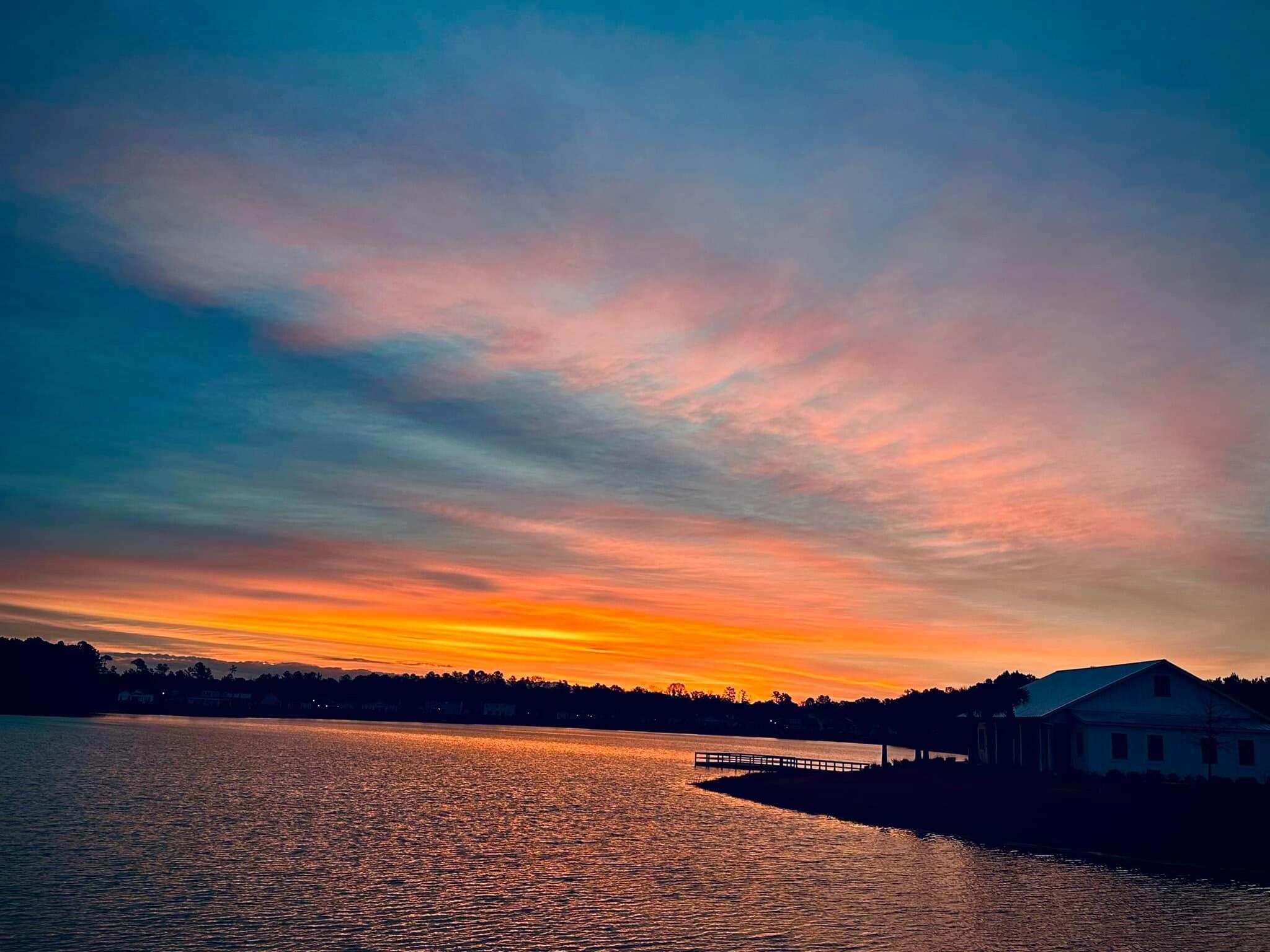 424 Bowstring Drive Huger, SC 29450 - Photo 48 of 49 IMG_7559