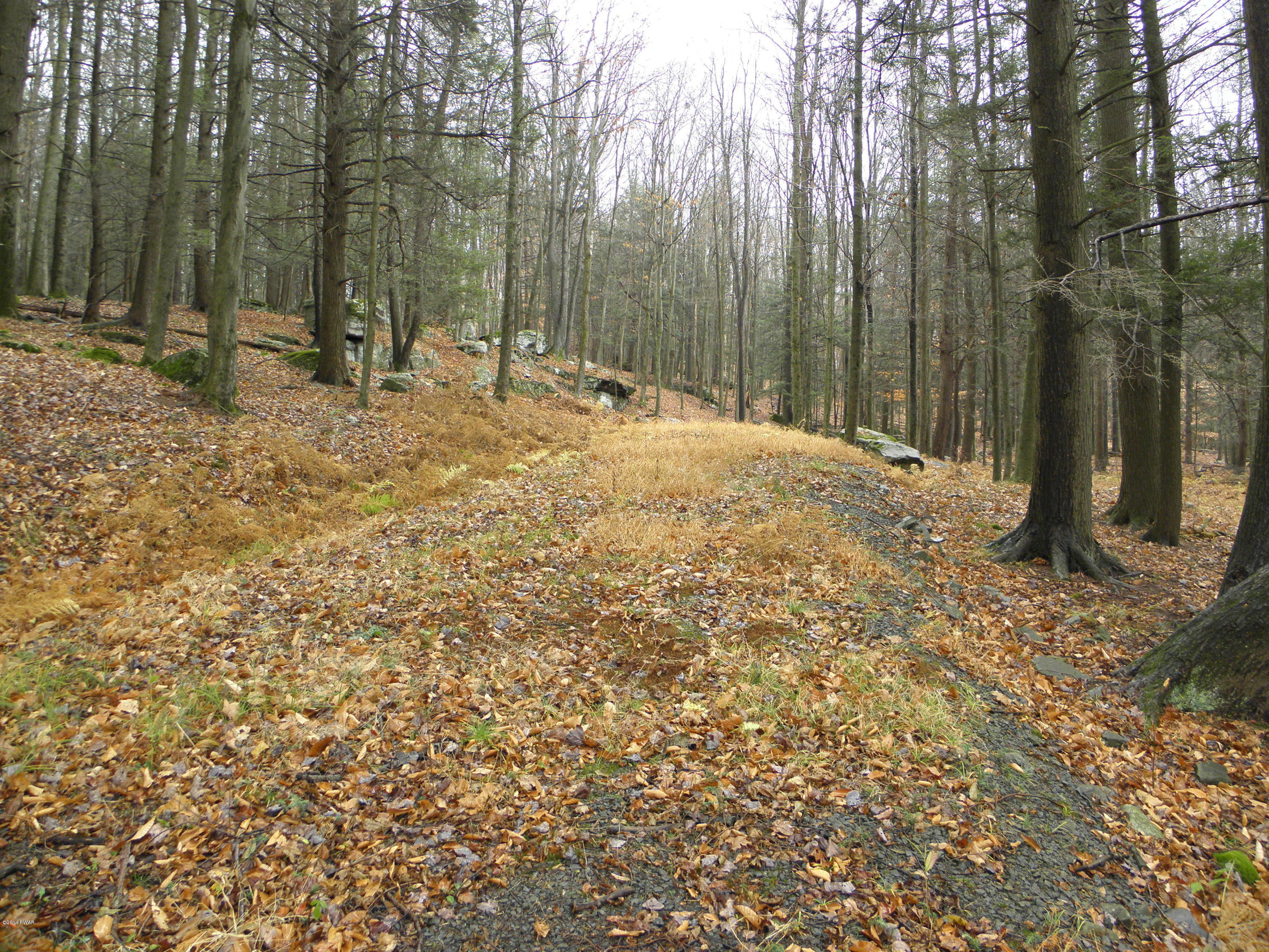 Phillips Road Gouldsboro, PA 18424 - Photo 2 of 6