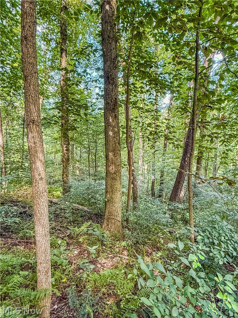Luneman Road Scio, OH 43988 - Photo 18 of 48 Gallery Image 18