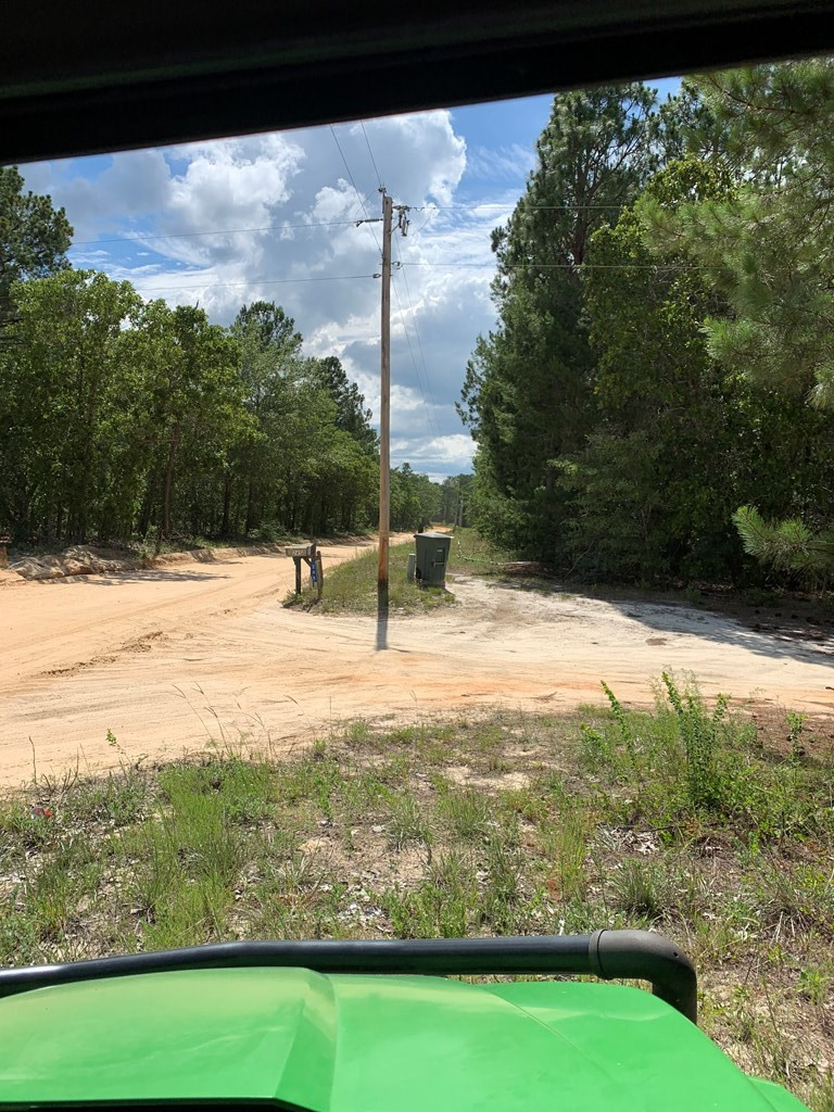 0 Paul Road Monetta, SC 29105 - Photo 6 of 14