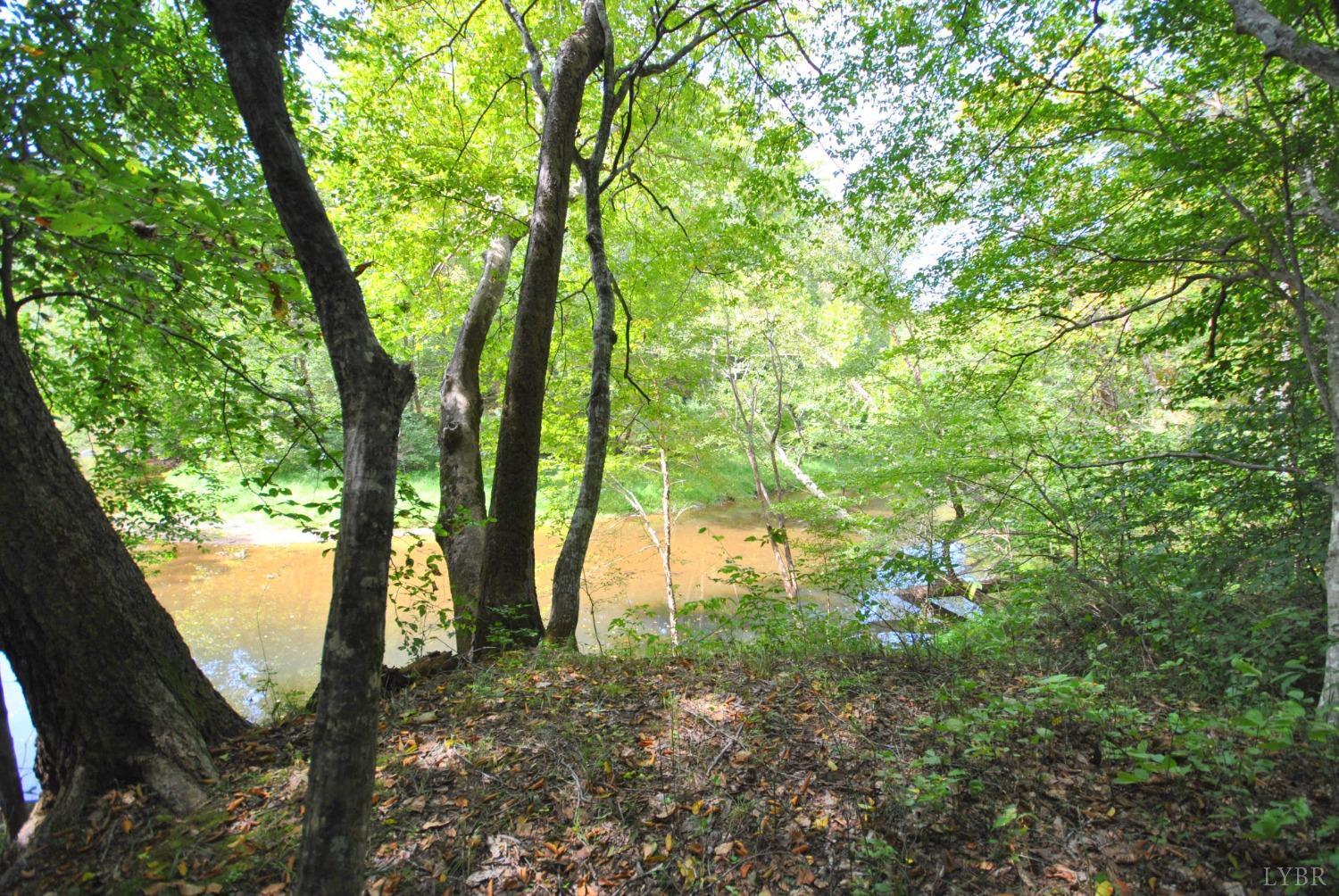 1206 East Perch Road Monroe, VA 24574 - Photo 46 of 83 a view of outdoor space and trees