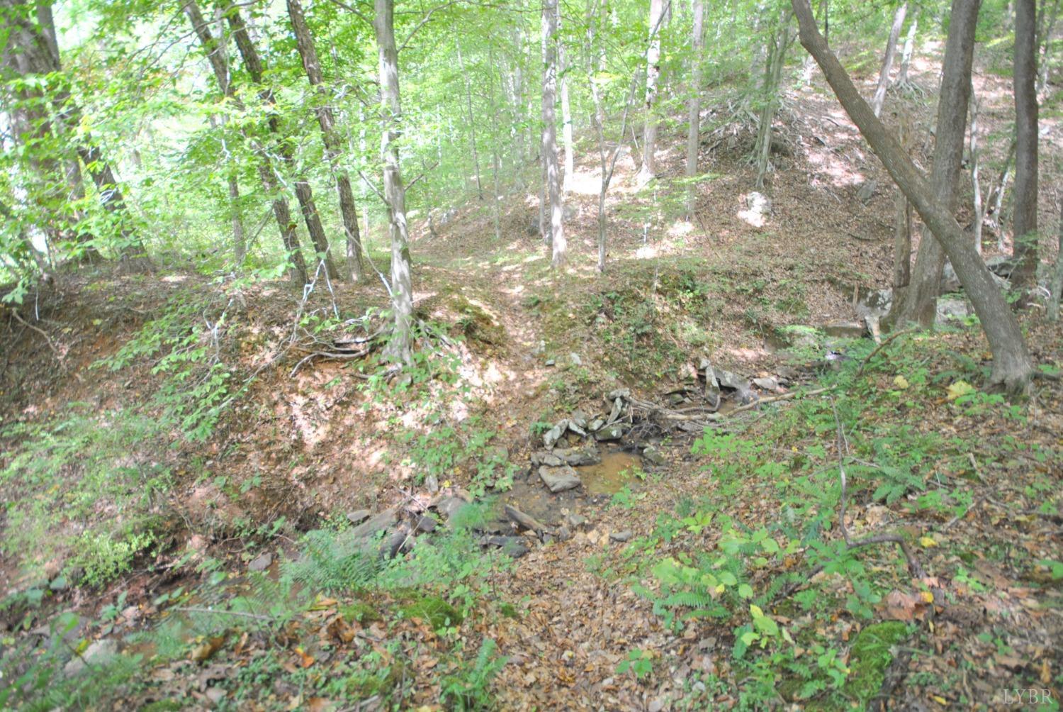 1206 East Perch Road Monroe, VA 24574 - Photo 54 of 83