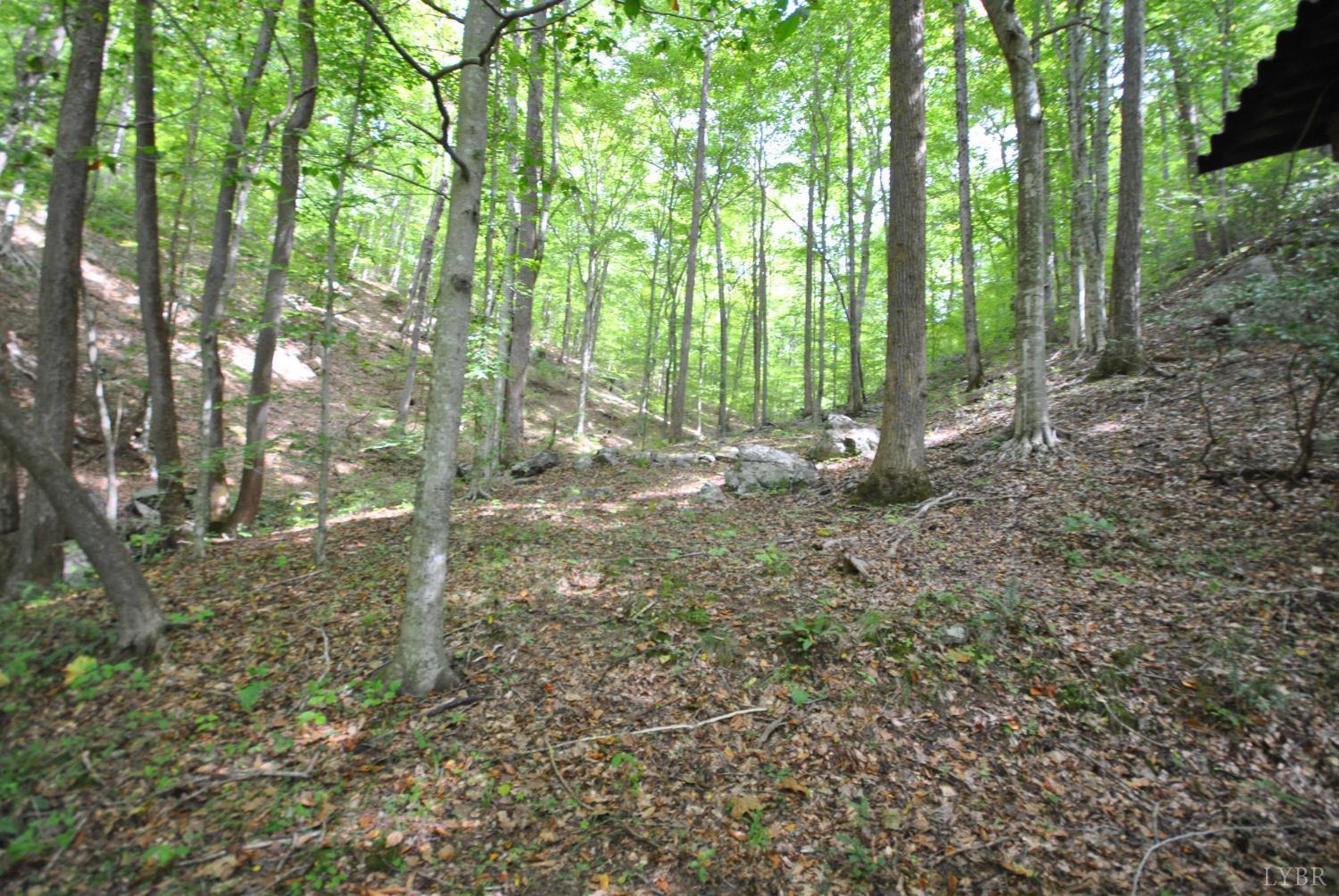 1206 East Perch Road Monroe, VA 24574 - Photo 56 of 83