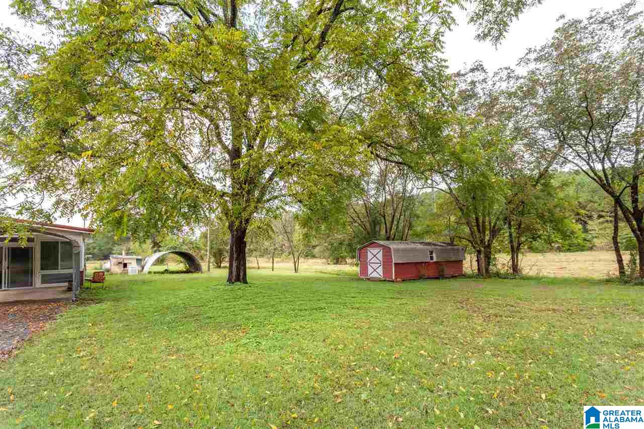 577 Richeytown Road Eastaboga, AL 36260 - Photo 33 of 42