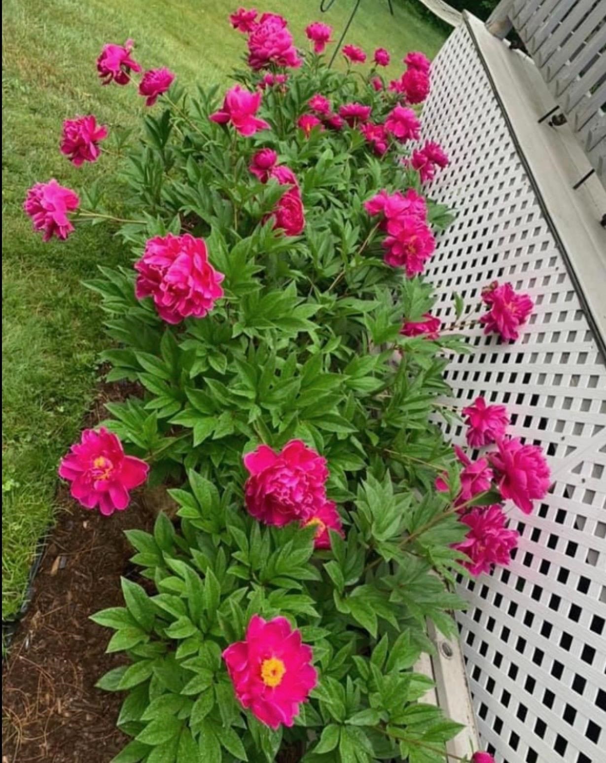 169 Main Street Atkinson, NH 03811 - Photo 45 of 49