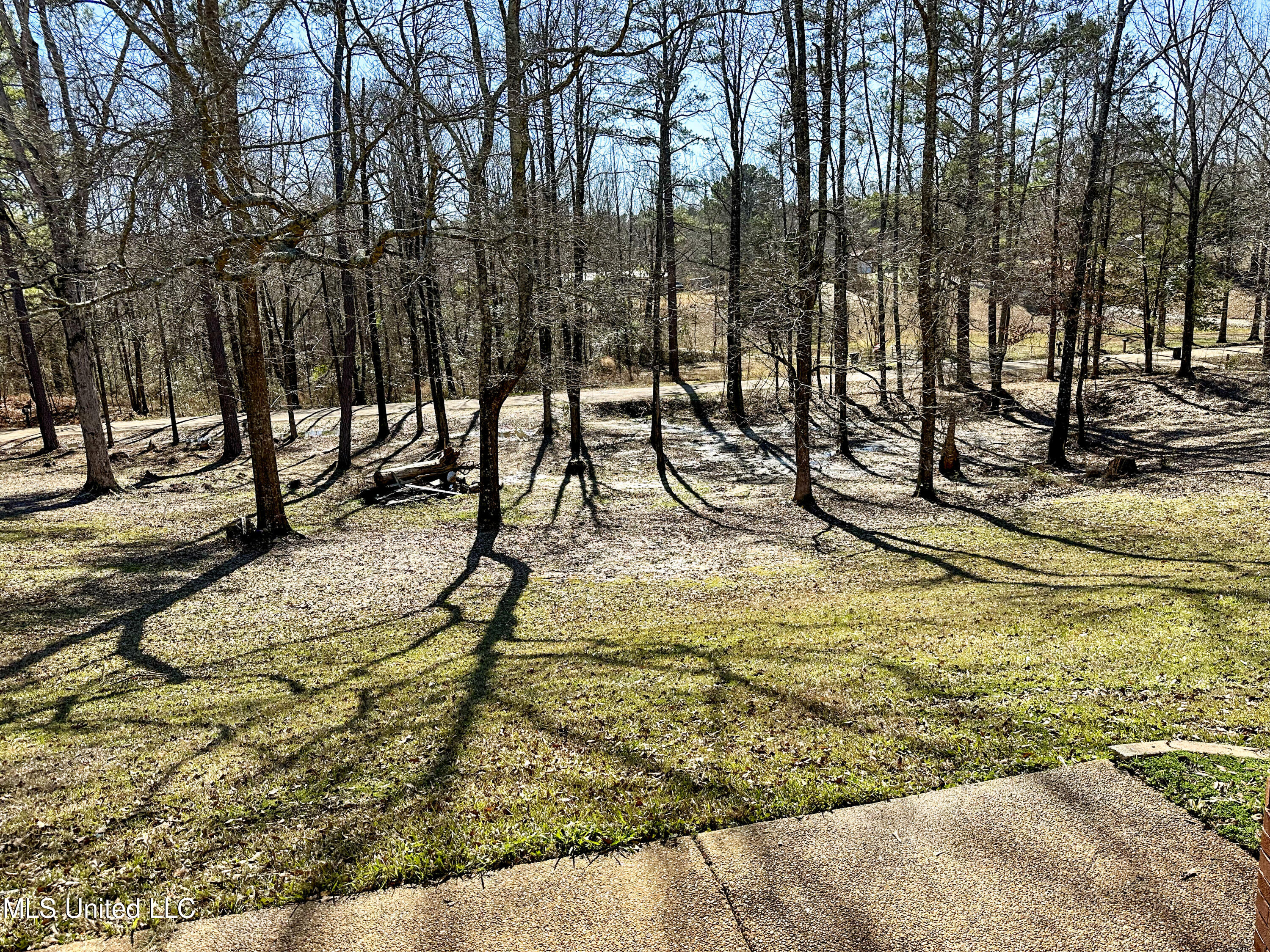 1160 Old Jackson Road Terry, MS 39170 - Photo 32 of 88 677AB707-75C5-4B82-B5A9-46BB4B4AEC42