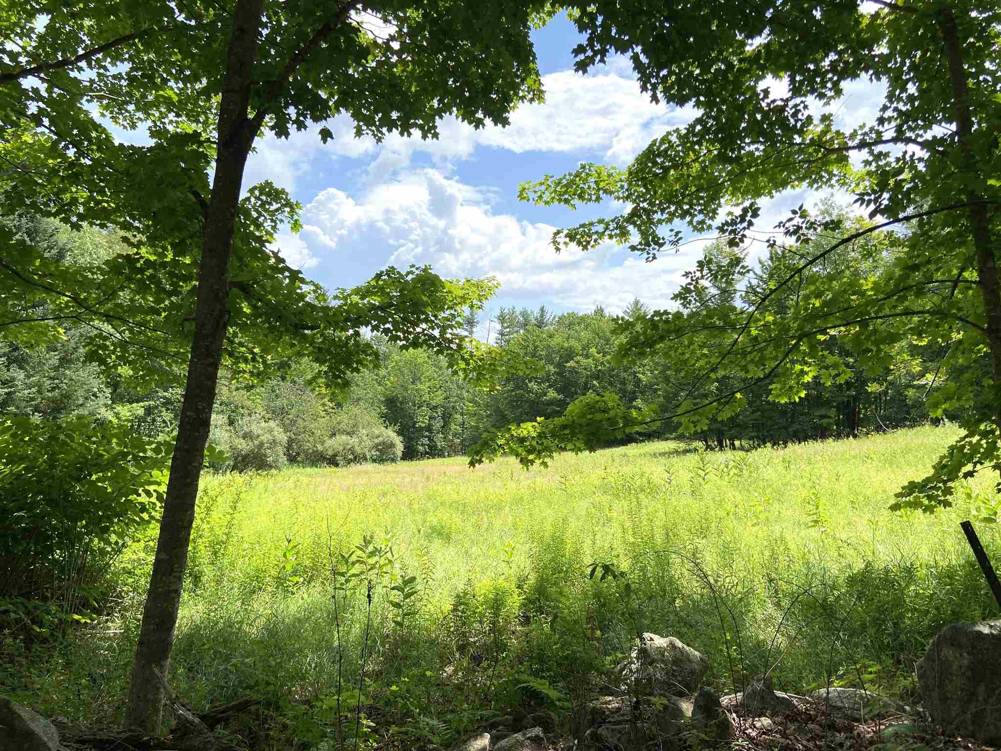 0 Gilman Road, Unit LOT 47 Gilmanton Iron Works, NH 03837 - Photo 1 of 9