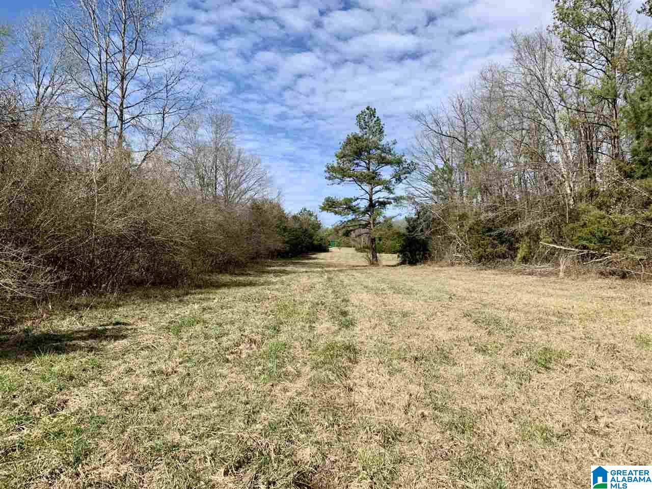 0 County Road 16 Calera, AL 35040 - Photo 22 of 22