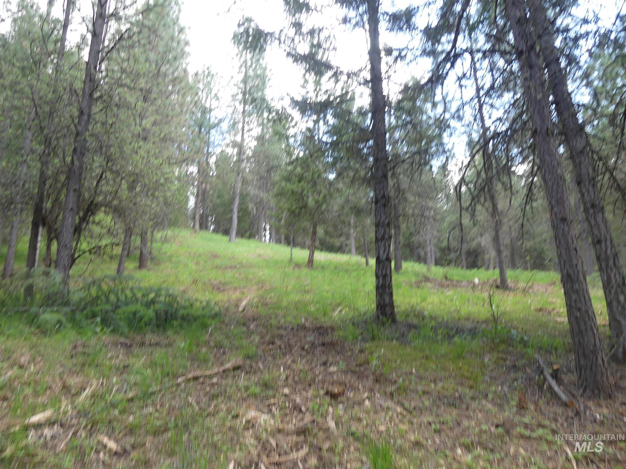22743 Old Melrose Grade Road Peck, ID 83545 - Photo 19 of 45