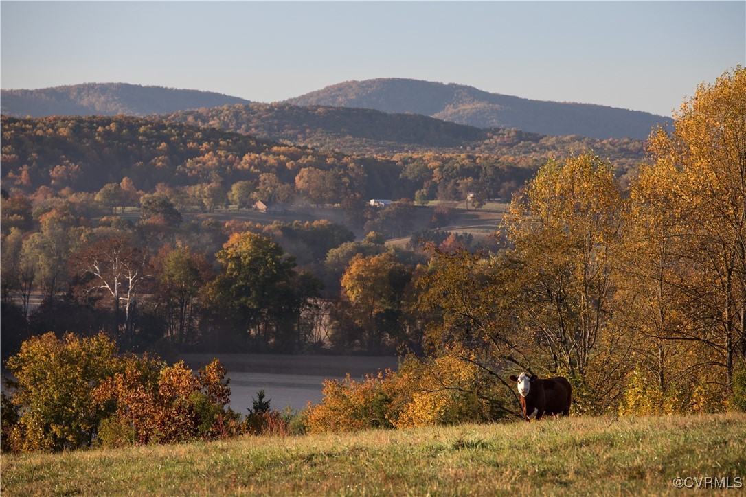 2427 South Blue Ridge Turnpike Rochelle, VA 22738 - Photo 25 of 50 Property view of mountains