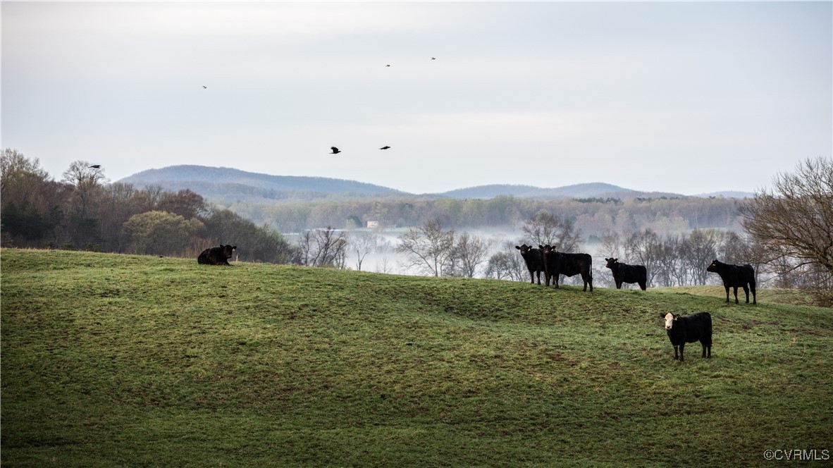 2427 South Blue Ridge Turnpike Rochelle, VA 22738 - Photo 39 of 50 Property view of mountains featuring a rural view