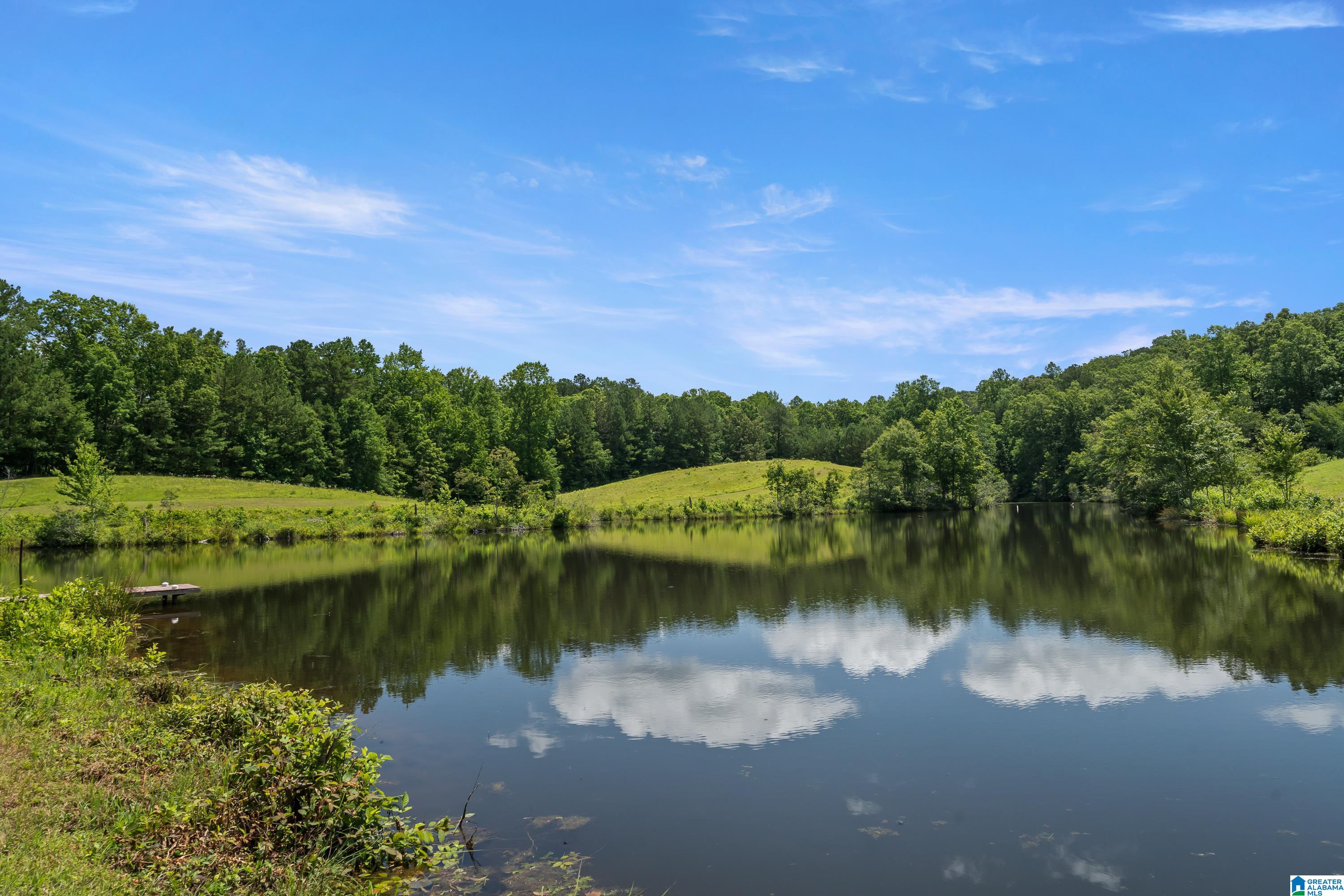 320 Wolf Pen Ridge Road Pell City, AL 35128 - Photo 89 of 100