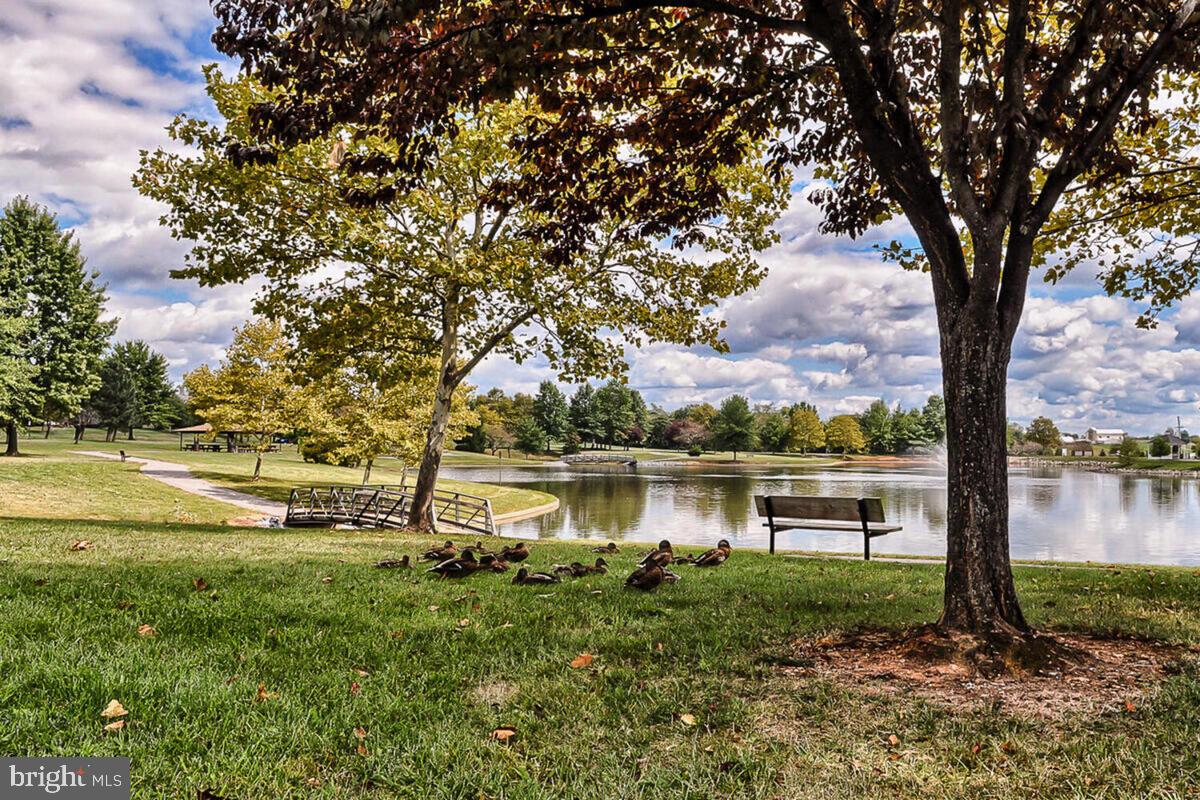 2510 Coach House Way, Unit 2D Frederick, MD 21702 - Photo 40 of 54