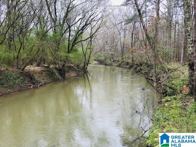 Pinedale Road, Unit 160 Ashville, AL 35953 - Photo 1 of 10