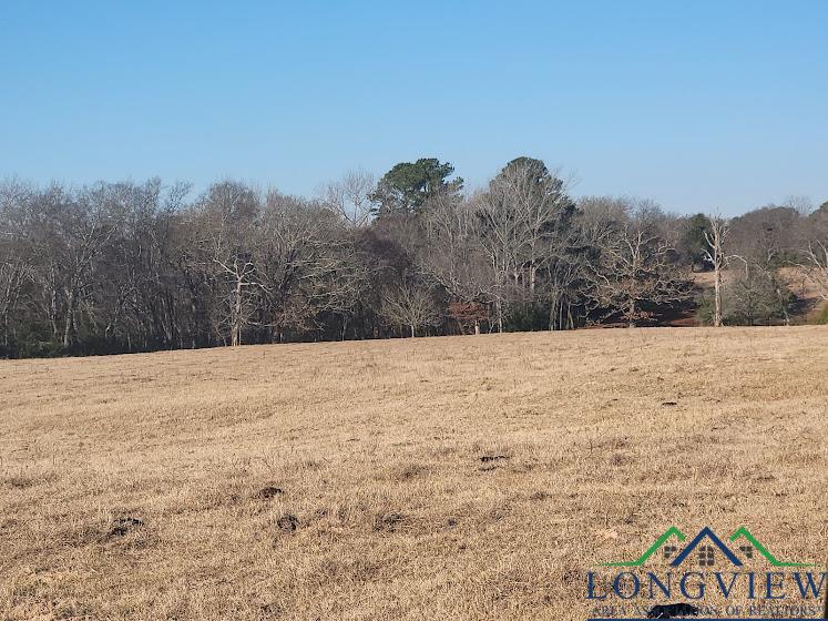 3372 Red Maple Road Big Sandy, TX 75755 - Photo 9 of 34 Gallery Image 9
