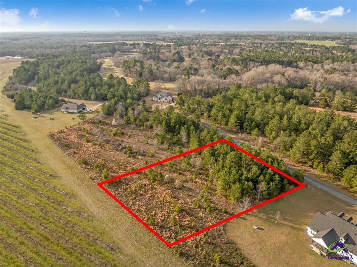 0 Woodland Trail Road Cochran, GA 31014 - Photo 2 of 20