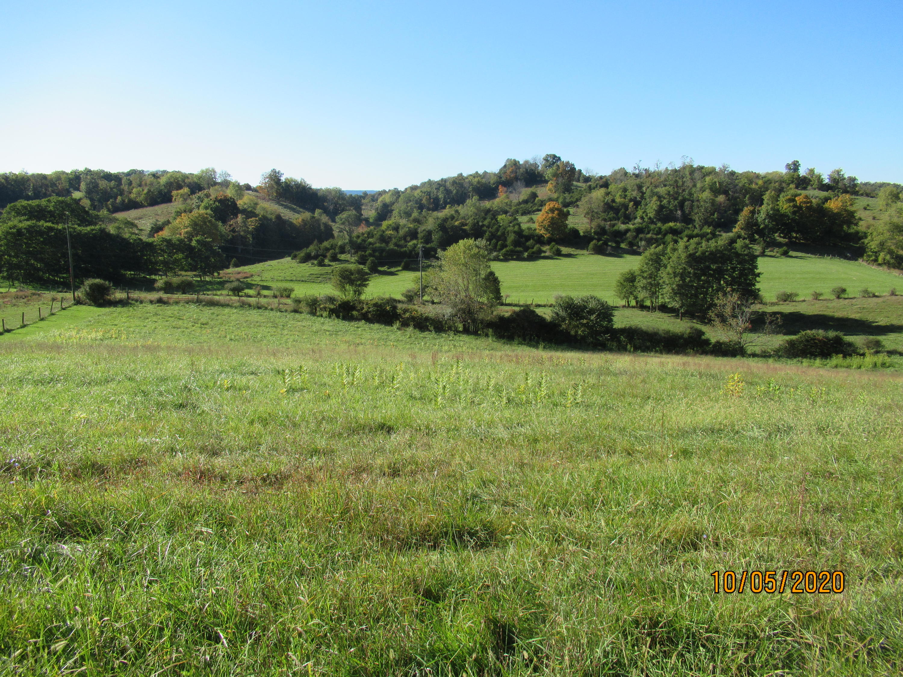 Charles Booth Road Sinks Grove, WV 24976 - Photo 2 of 18 Gallery Image 2