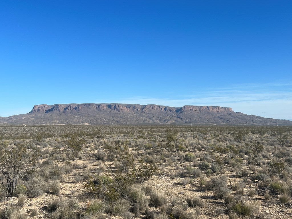 56 Morrow Road Alpine, TX 79830 - Photo 8 of 15 Gallery Image 8
