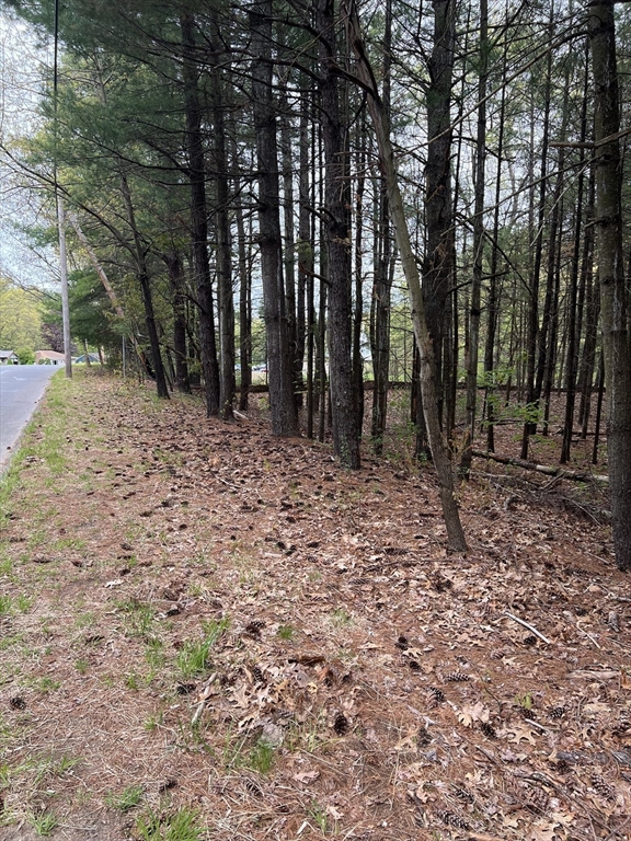 62-91 Lawrence Street Palmer, MA 01069 - Photo 2 of 9 a view of outdoor space with trees