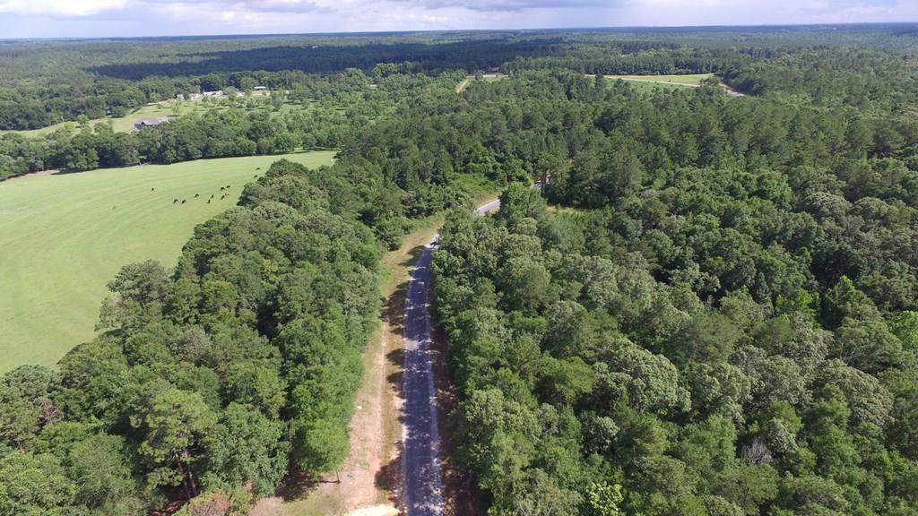 0 Meadow Lane Road Andalusia, AL 36421 - Photo 17 of 30 Gallery Image 17