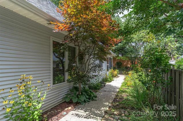 a backyard of a house with plants and large trees