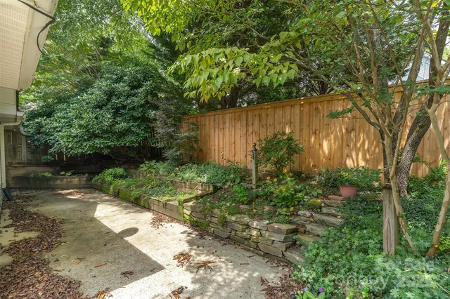 a view of a backyard