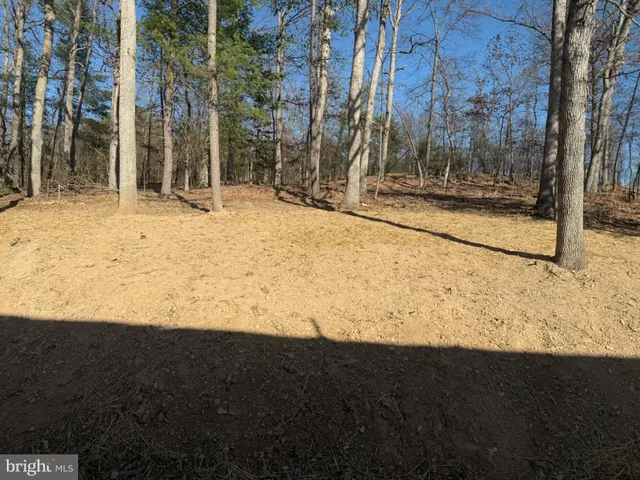 a view of wooden fence under a tree