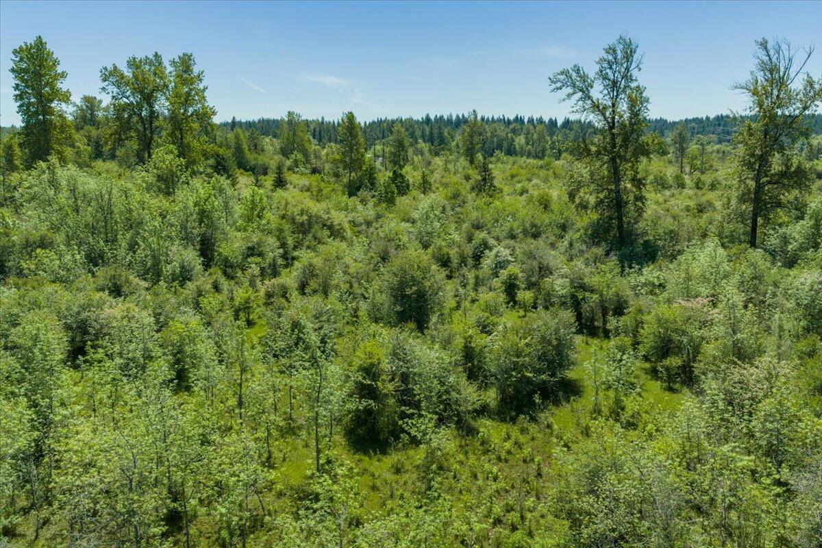 35377 Ede Road Lebanon, OR 97355 - Photo 49 of 50 43