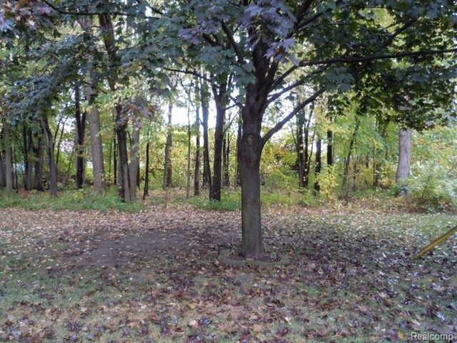 51186 South Foster Road New Baltimore, MI 48047 - Photo 21 of 26 Back yard 2.JPG