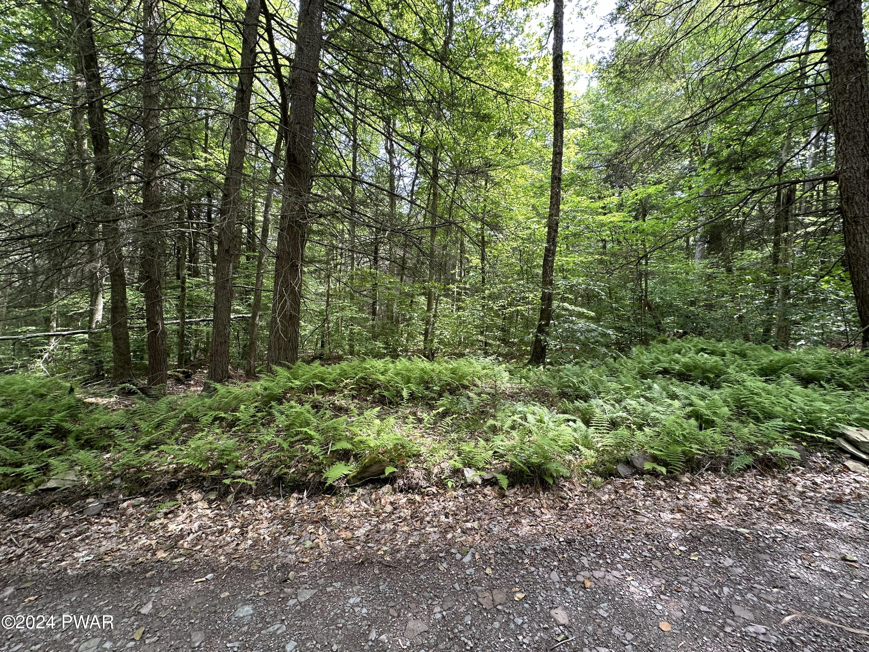 Minkler Mountain Road Damascus, PA 18415 - Photo 3 of 8