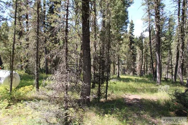 $385,000 | 2774 Northeast Sagehen Drive, Island Park, ID 83429