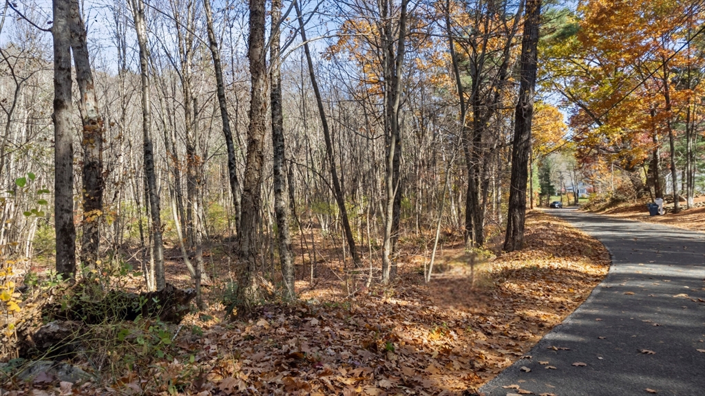 Lot 0 North Sturbridge Road Charlton, MA 01507 - Photo 6 of 8