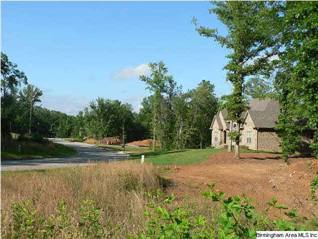 428 Highland Ridge Lane Chelsea, AL 35043 - Photo 19 of 19
