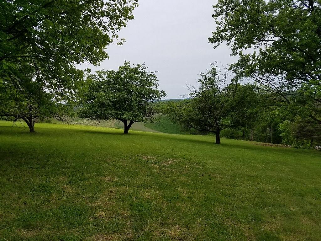 295 Deerfield Road Washington, PA 15301 - Photo 5 of 25 Gallery Image 5