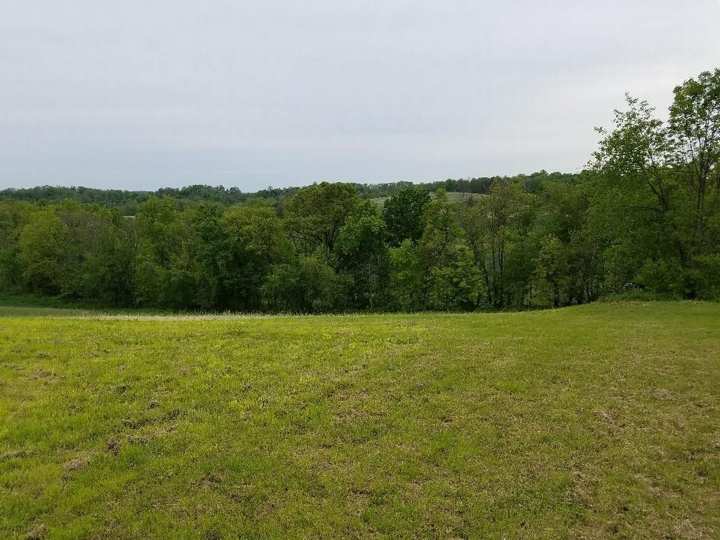 295 Deerfield Road Washington, PA 15301 - Photo 6 of 25 Gallery Image 6