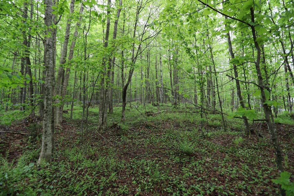 760 Spencer Hill Road Coventry, VT 05855 - Photo 42 of 52