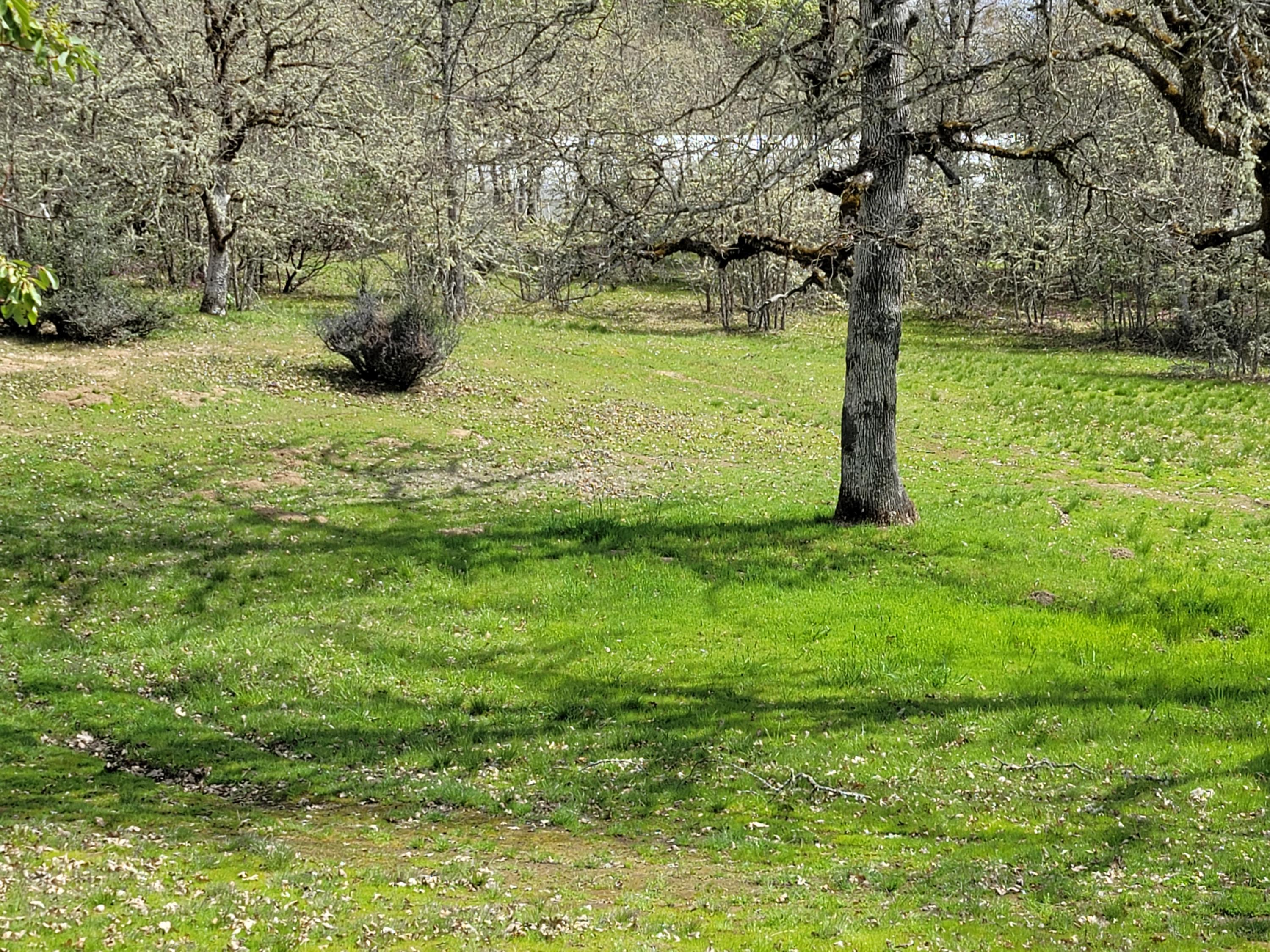 7000 Lower River Road Grants Pass, OR 97526 - Photo 12 of 31 A14